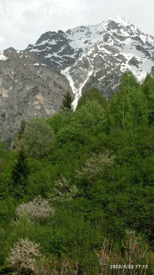 Гостевой дом МАМУКА жабыш Zhabeshi Экстерьер фото