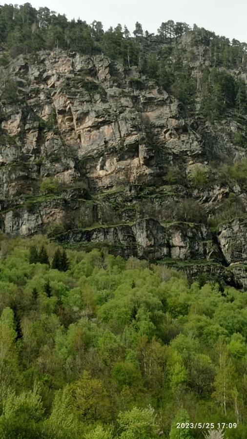 Гостевой дом МАМУКА жабыш Zhabeshi Экстерьер фото