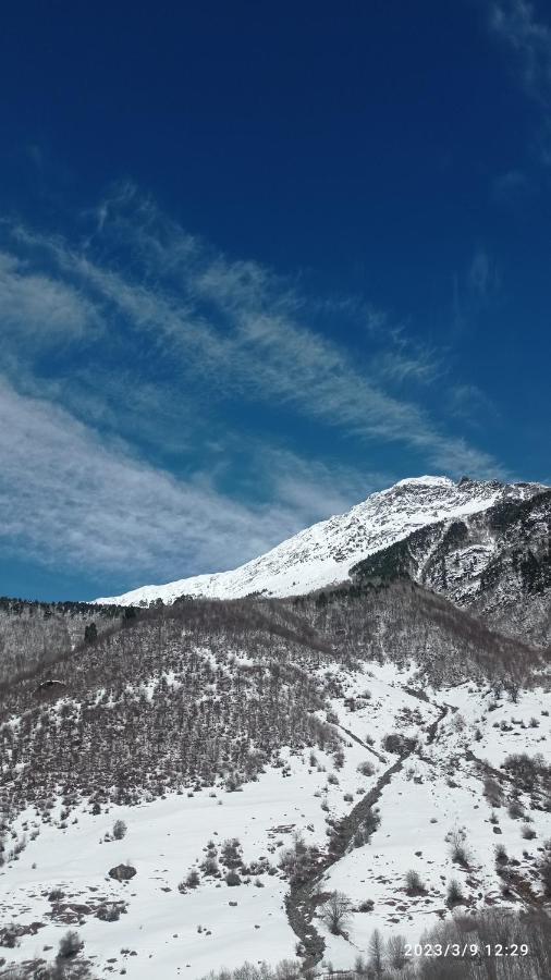 Гостевой дом МАМУКА жабыш Zhabeshi Экстерьер фото