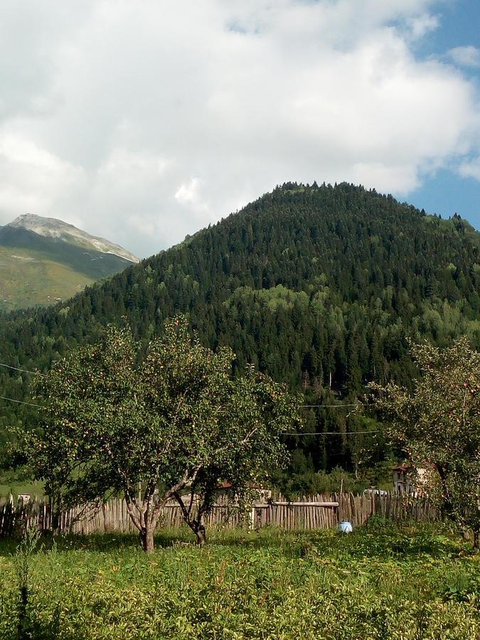 Гостевой дом МАМУКА жабыш Zhabeshi Экстерьер фото