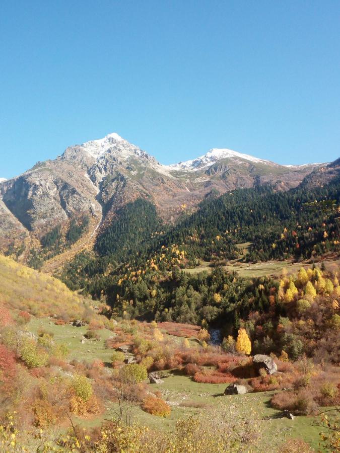 Гостевой дом МАМУКА жабыш Zhabeshi Экстерьер фото